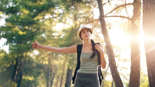 cammino tra gli alberi